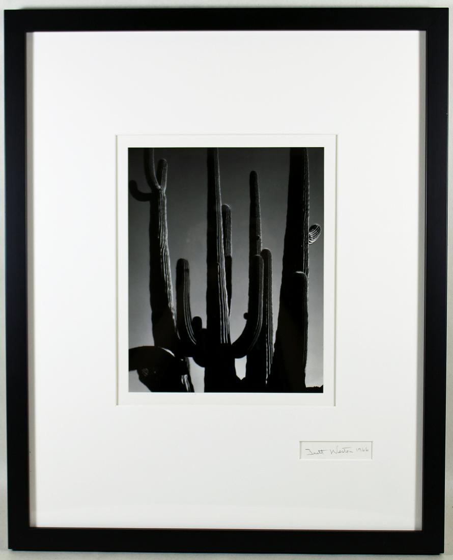 BRETT WETSON 1966 CACTUS PHOTOGRAPH (1 of 3)