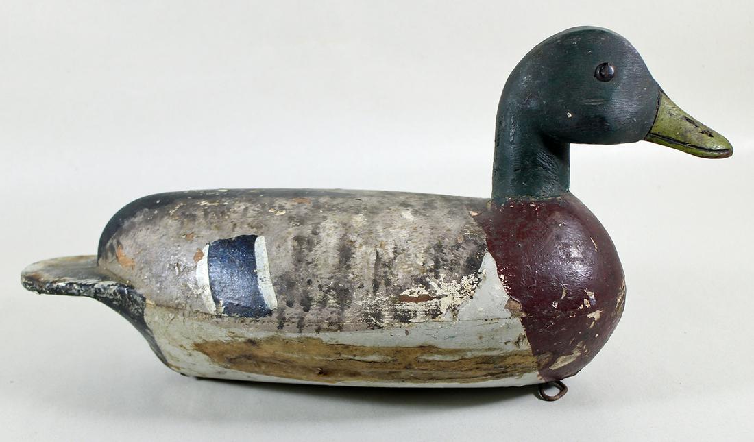 MALLARD DRAKE ILLINOIS RIVER (1 of 3)