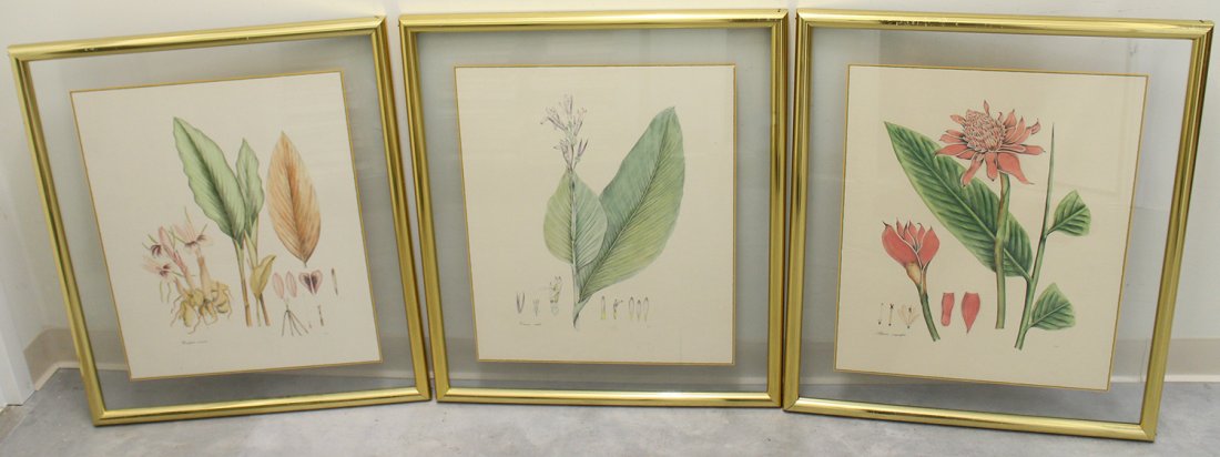 (3) BOTANICAL PRINTS (1 of 5)