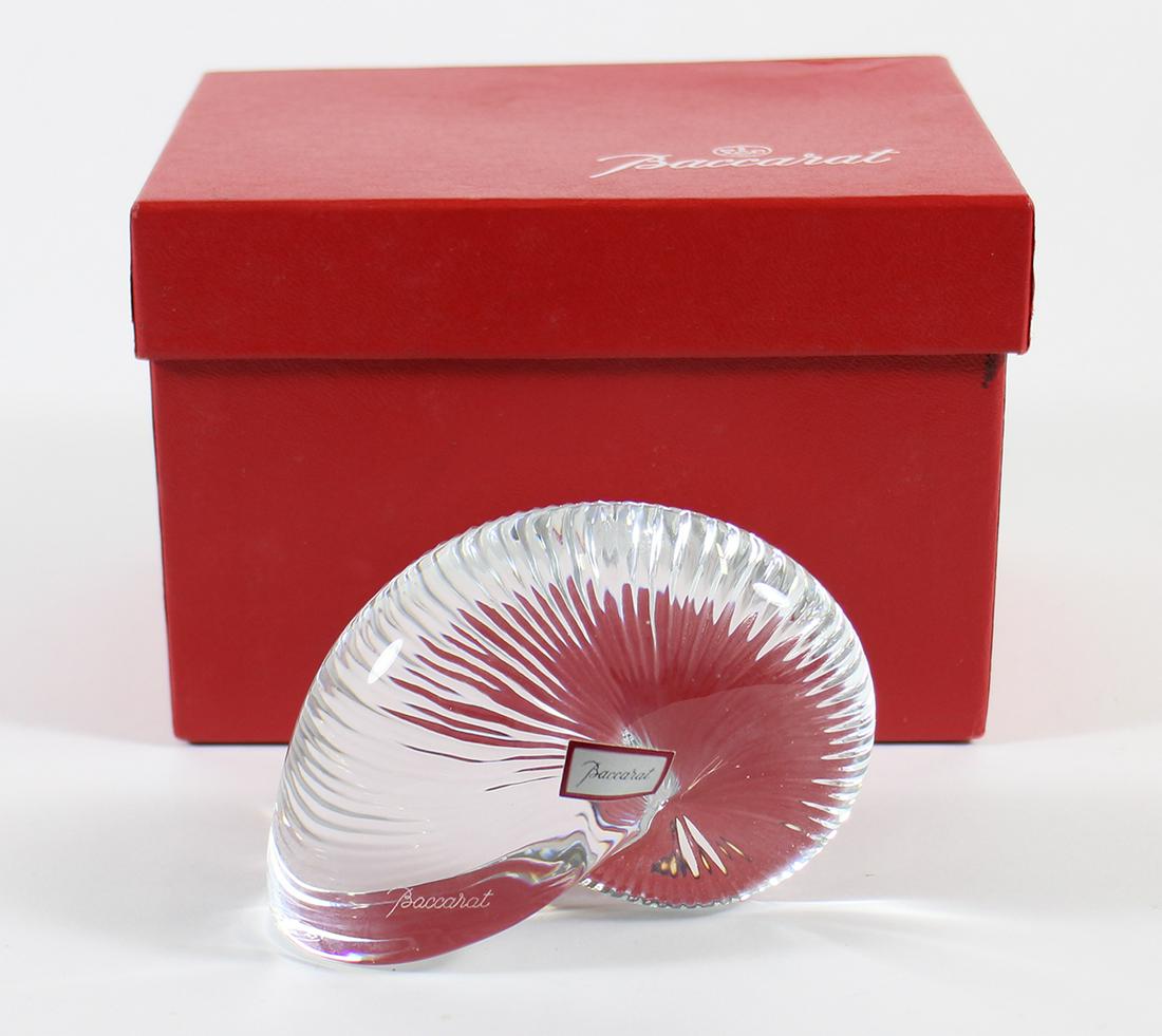 Baccarat Nautilus 4インチ