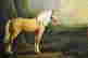 item-116179340=2
