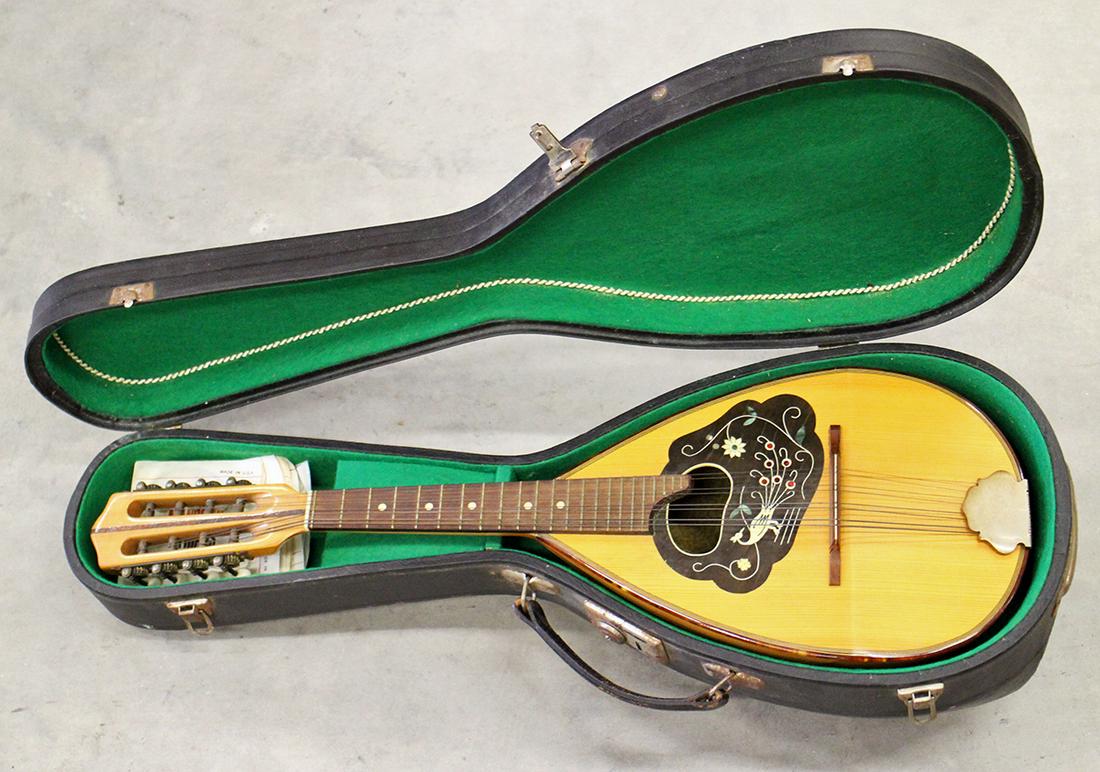 VINTAGE BOWL BACK GERMAN MANDOLIN (1 of 6)