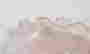 item-119693205=6