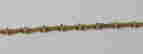 item-119693208=2