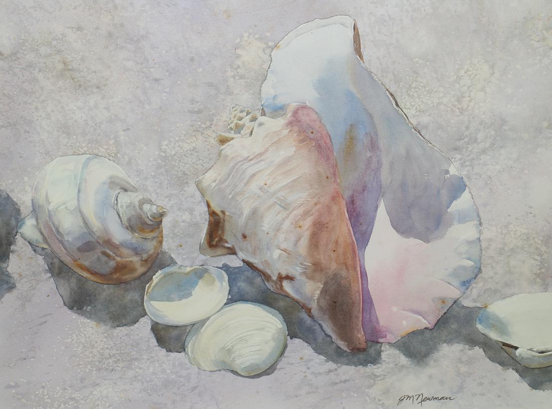 JM NEWMAN WATERCOLOR PAINTING: Watercolor painting of seashells. Signed lower right JM Newman. Some spotting to paper. Measures 29.25" x 21.5" (sight) and 42.5" x 35.5" w/ frame.