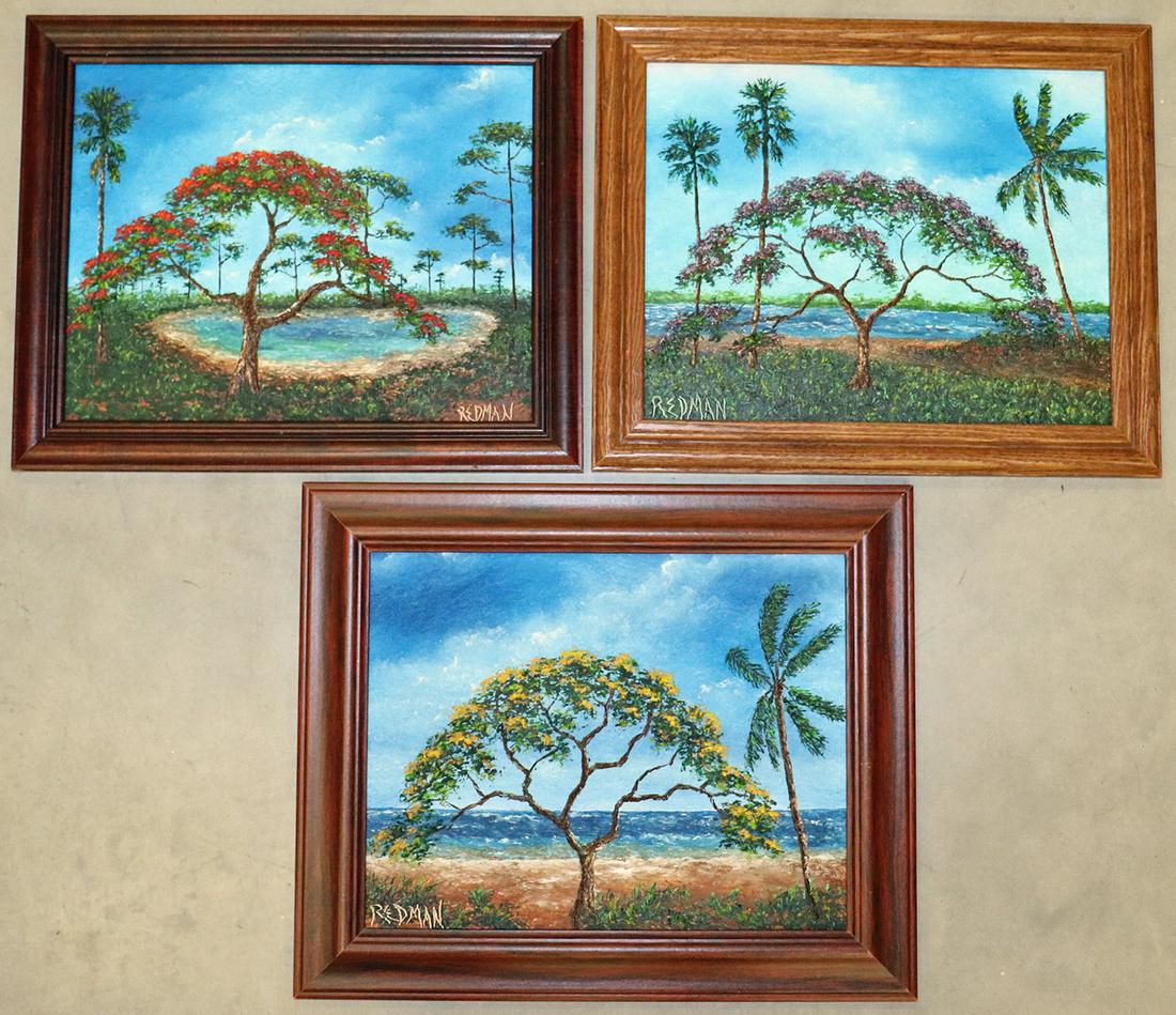 (3) REDMAN FLORIDA TREE PAINTINGS (1 of 4)