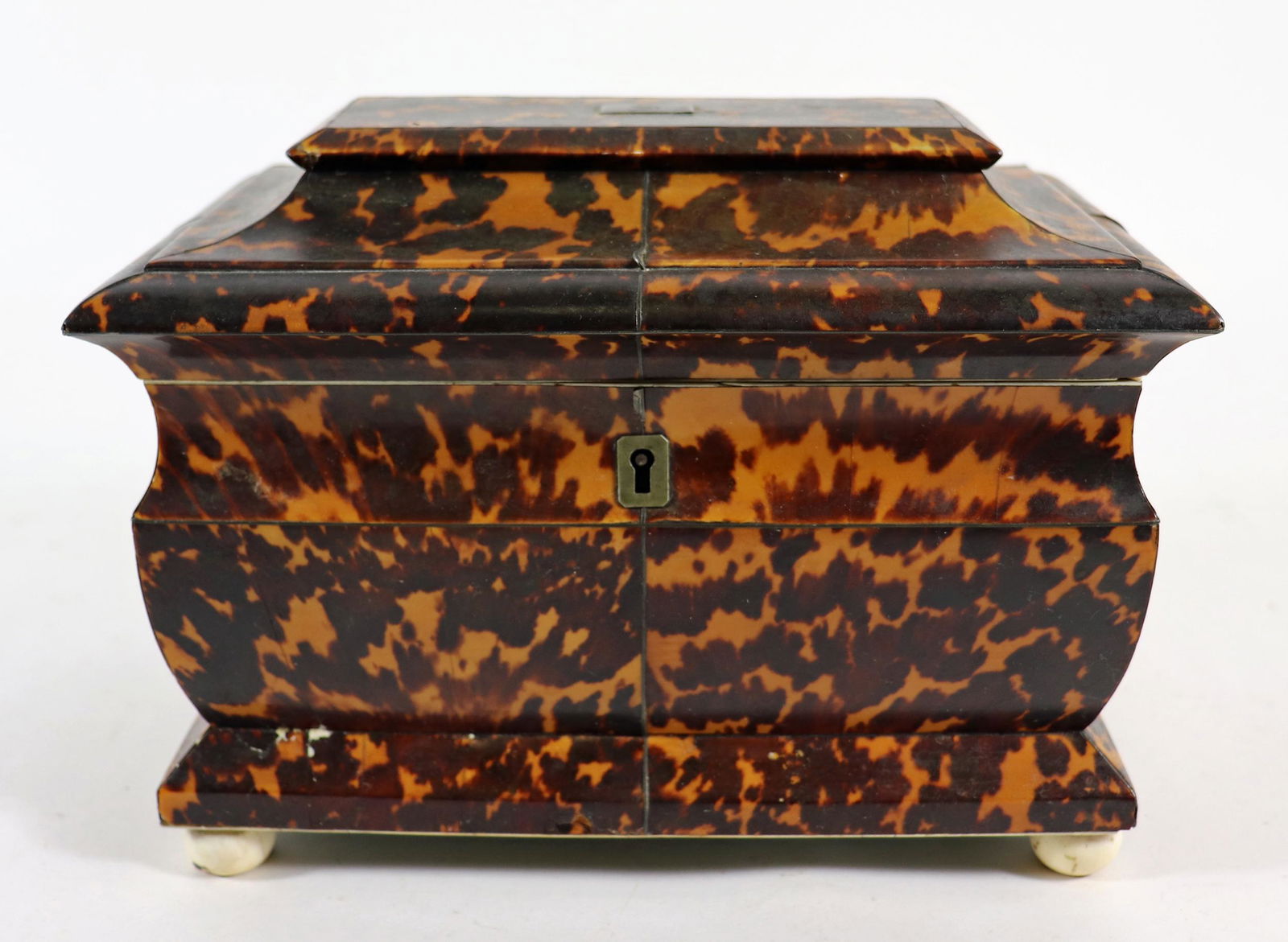 19TH CENTURY TORTOISE TEA CADDY (1 of 5)