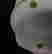 item-130276324=4