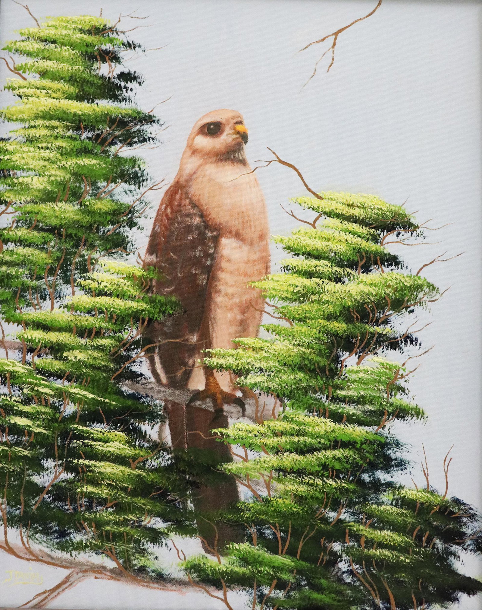 JOHNNY DANIELS FLORIDA HAWK PAINTING: Johnny Daniels (1954-2009) Painting of a hawk perched on a branch. Signed lower left. Johnny Daniels was the youngest of the (26) Florida Highwaymen artists and in addition to painting Florida landsca