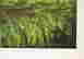 item-130276395=4