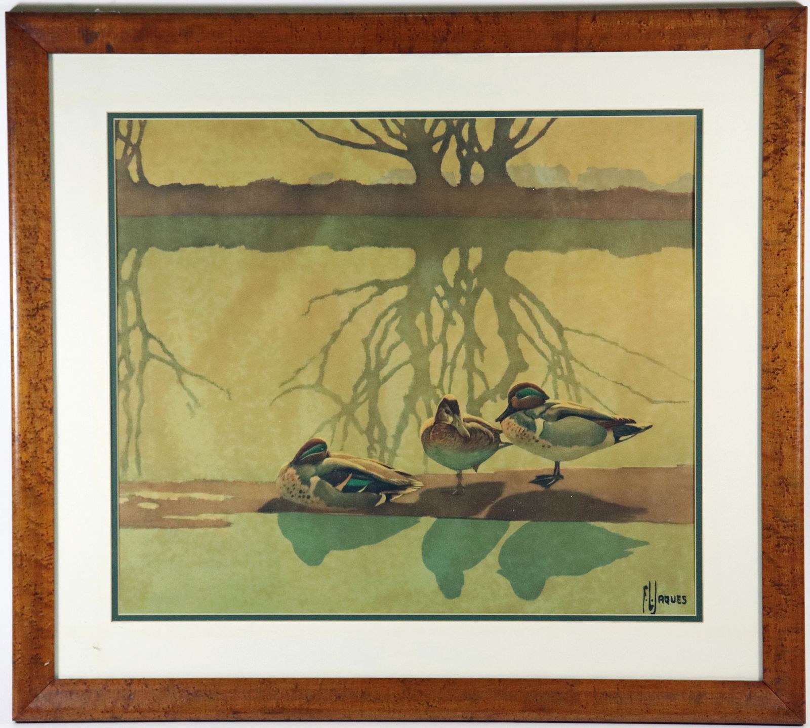 FRANCIS LEE JAQUES TEAL & WILLOWS ENGRAVING (1 of 3)