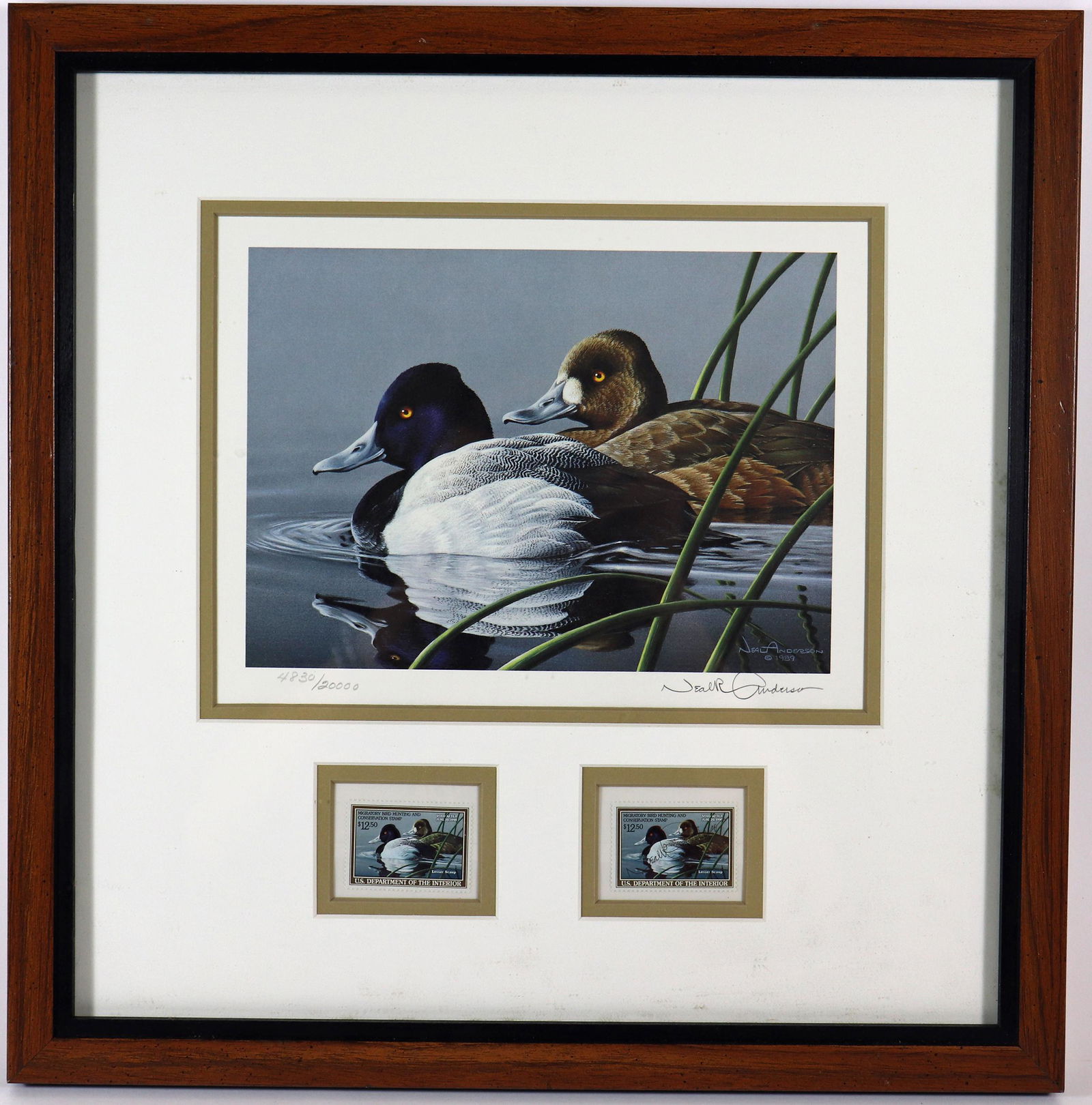 NEAL ANDERSON DUCK STAMP LITHOGRAPH (1 of 2)