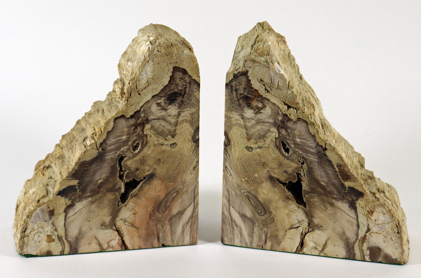 PAIR OF PETRIFIED WOOD BOOKEND SPECIMENS (1 of 2)