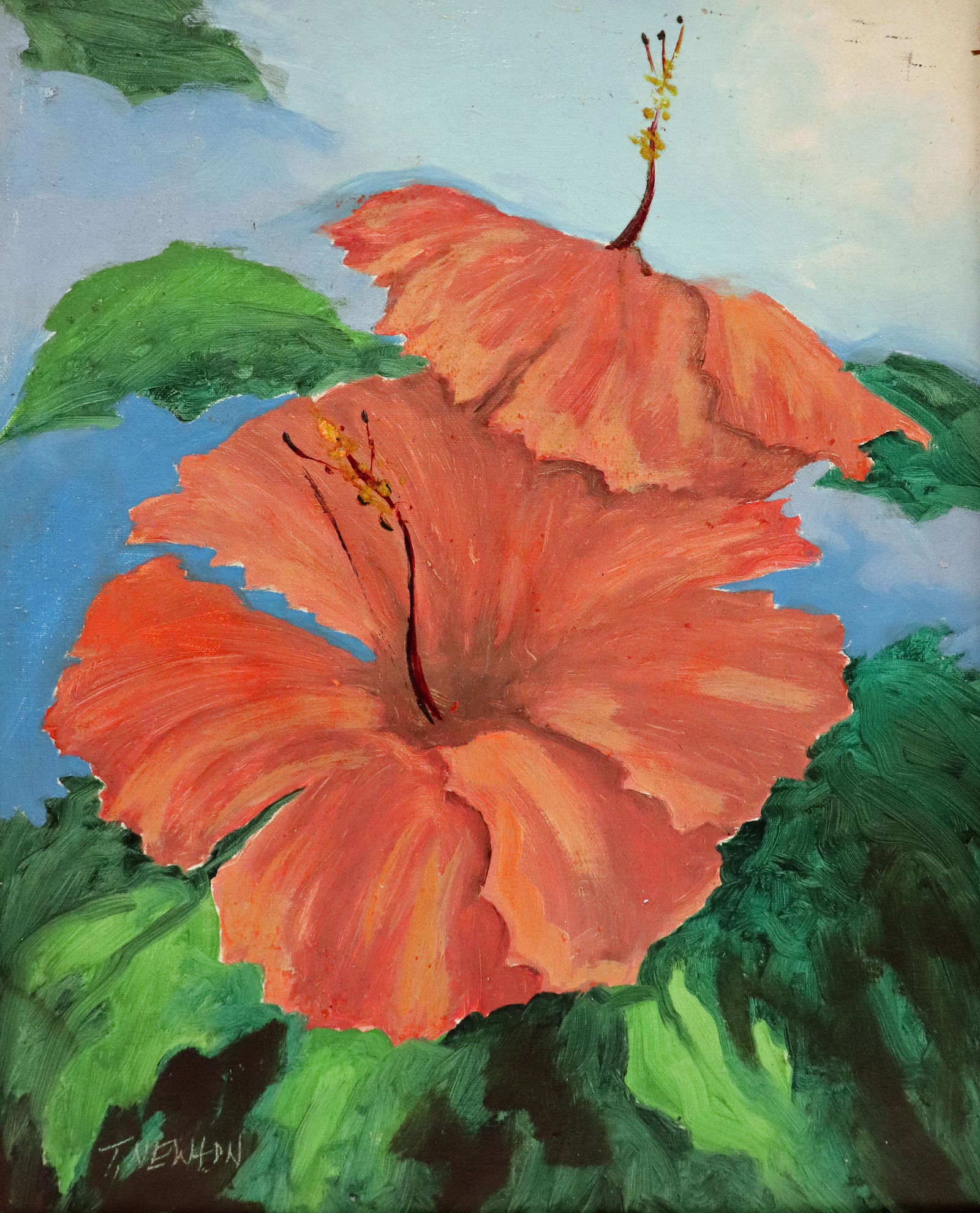 TRACY NEWTON FLORIDA HIBISCUS FLOWER PAINTING (1 of 4)