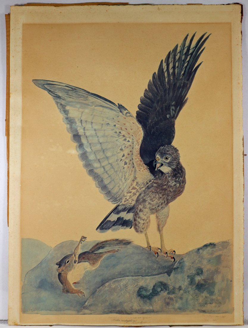 CARROLL SARGENT TYSON HAWK LITHOGRAPH (1 of 5)