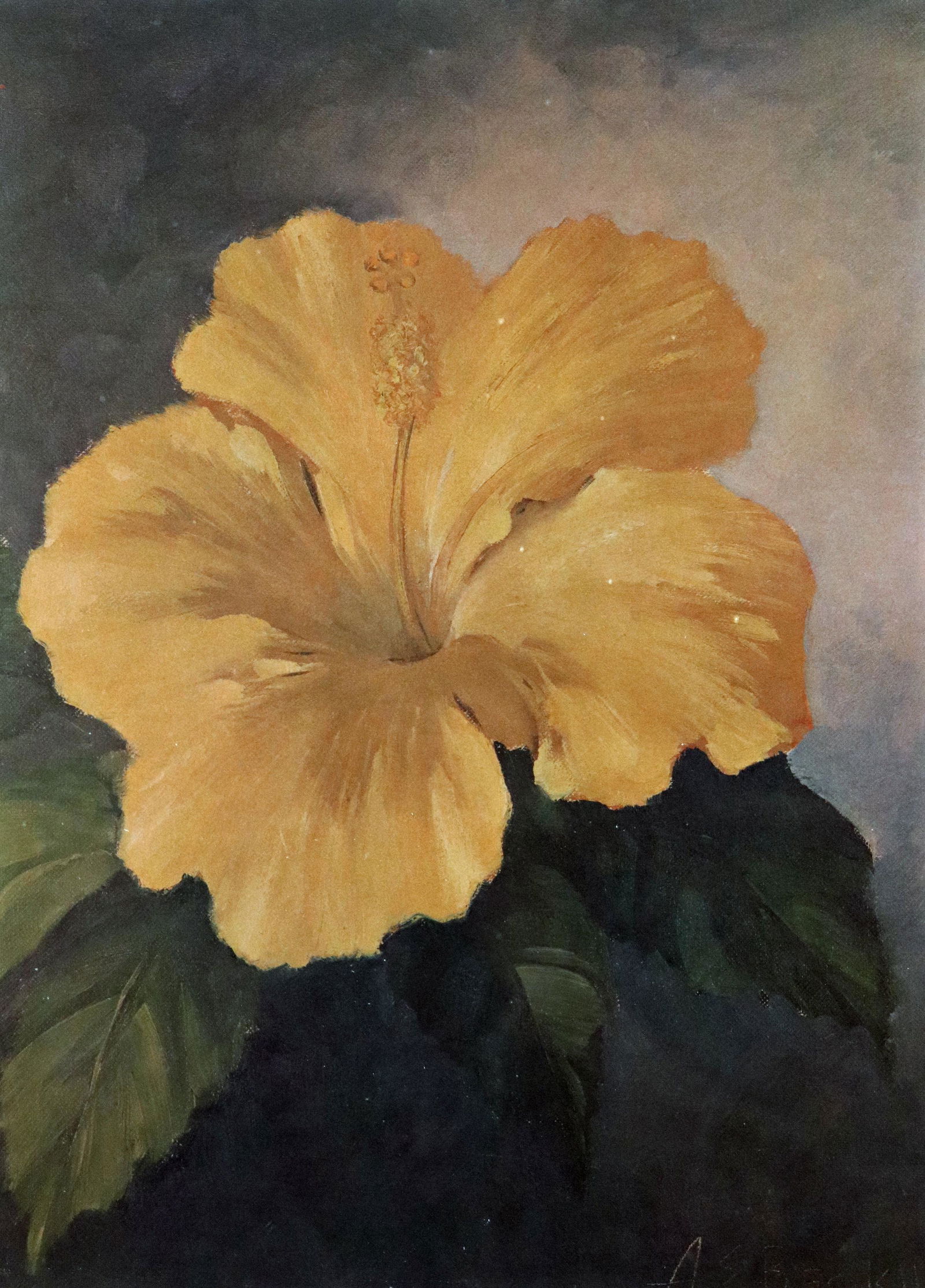 A.E. BACKUS YELLOW HIBISCUS PRINT (1 of 3)