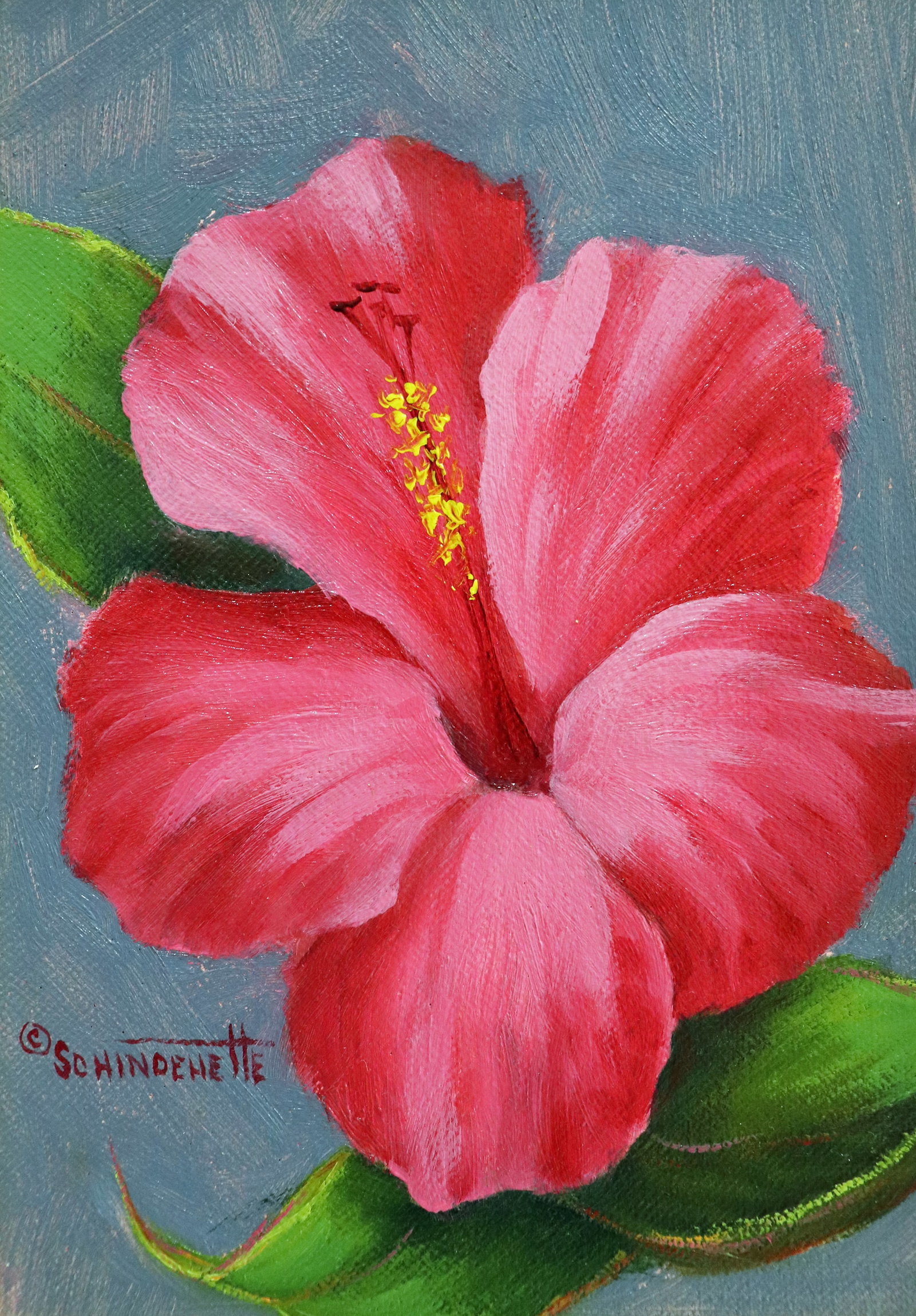 JACQUELYN SCHINDEHETTE HIBICUS FLOWER PAINTING: Jacquelyn "Jackie" Schindehette oil on board painting of a pink Florida hibiscus flower. Signed lower left. Measures 7" x 5" and 12.5" x 10.5" w/ frame. Jacquelyn was a former art student of Albert "B