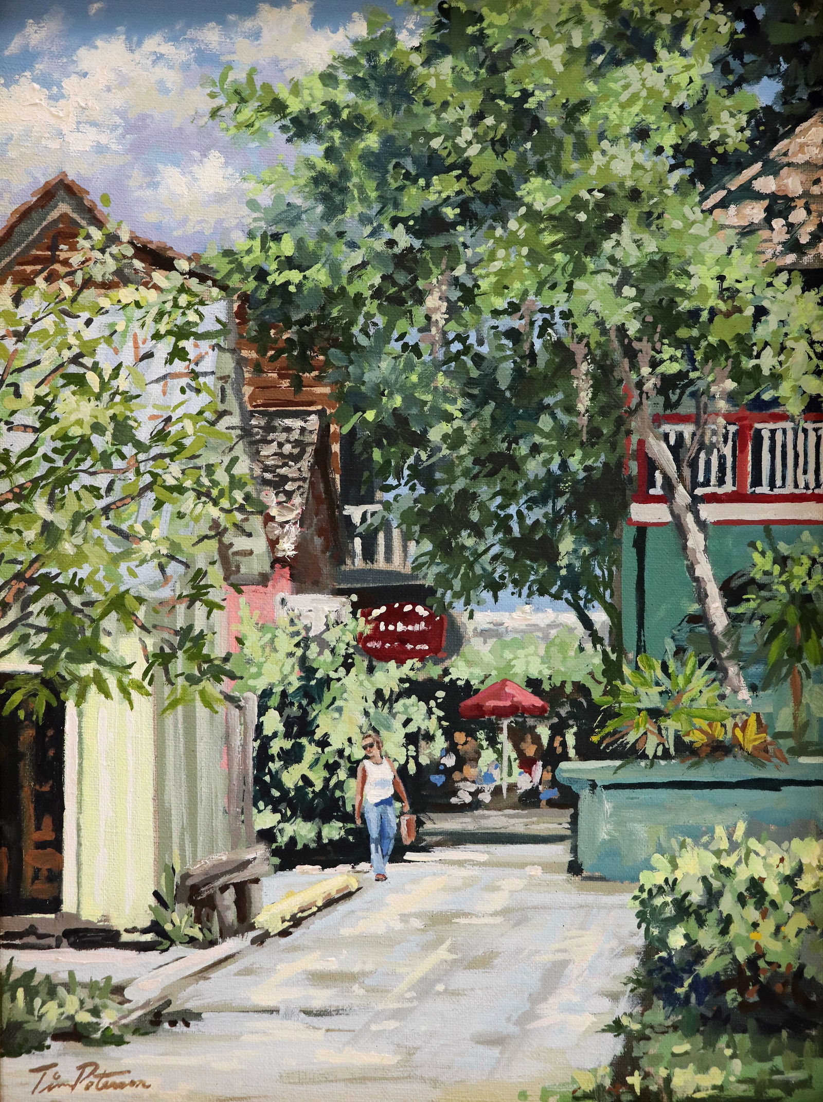 TIM PETERSON "EXPLORING TOLOMATO LANE" PAINTING (1 of 5)