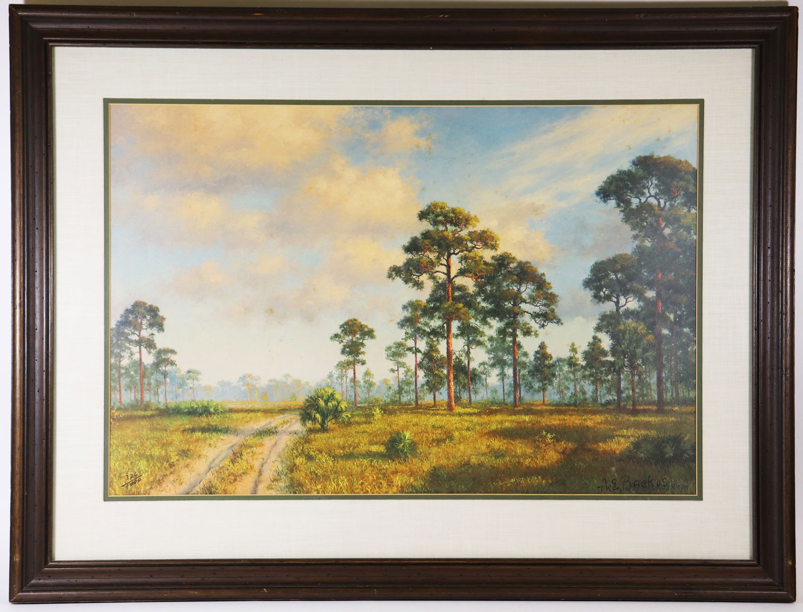 A.E. BACKUS SIGNED FLORIDA LITHOGRAPH 1976 (1 of 4)