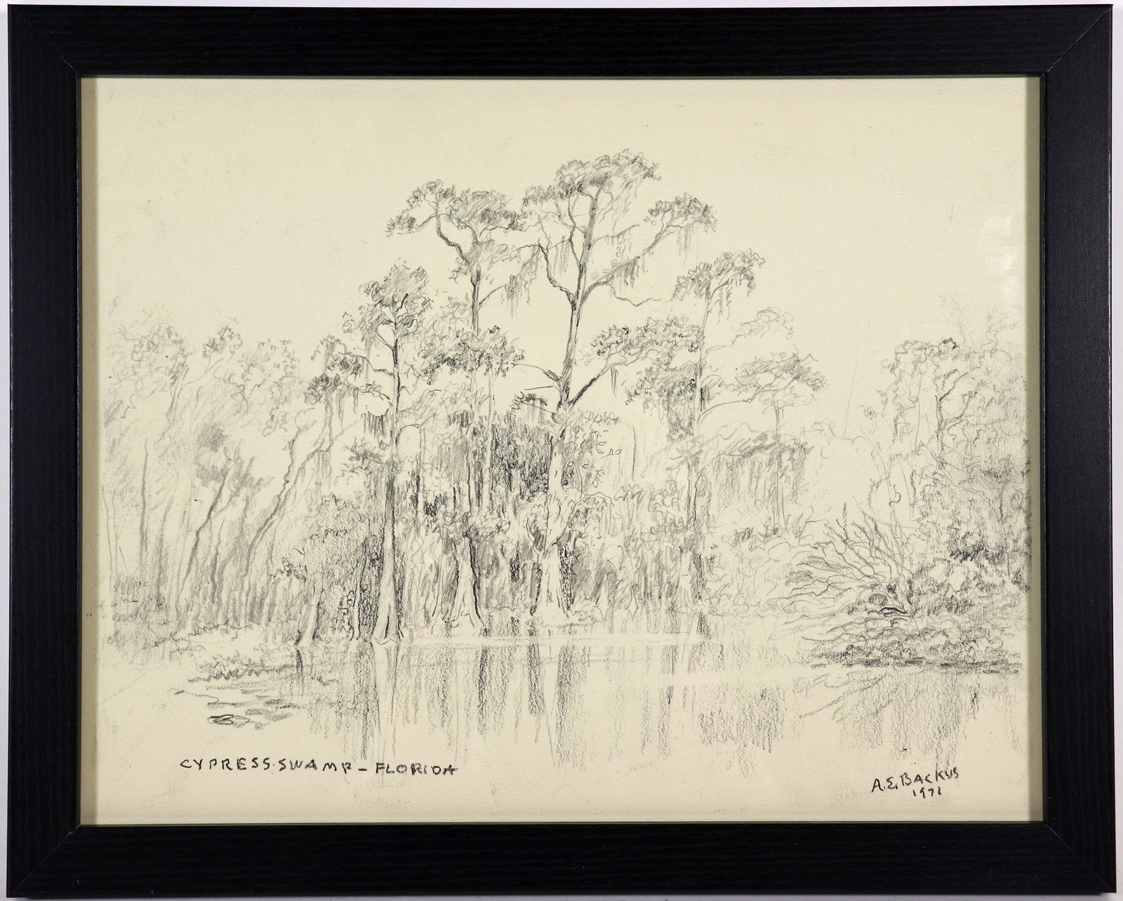 A.E. BACKUS CYPRESS SWAMP FLORIDA LITHOGRAPH (1 of 2)