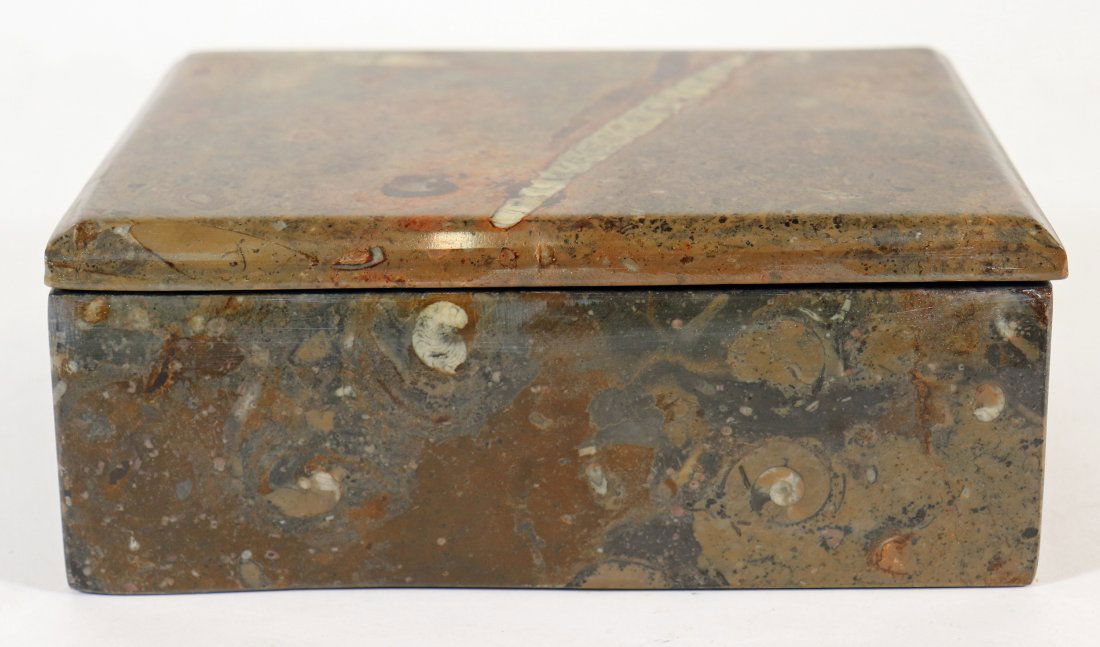 FOSSILIZED STONE BOX (1 of 3)
