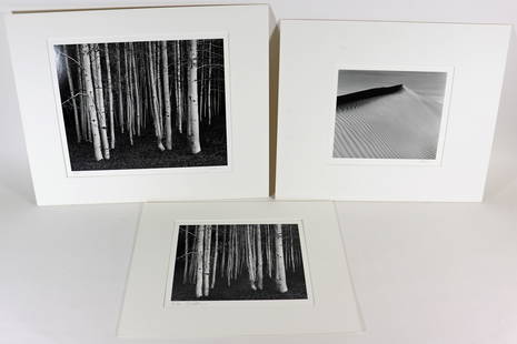 (3) VINTAGE BLACK & WHITE PHOTOGRAPHS: Includes (2) John Sexton black and white photographs. Photographer stamp on verso from Carmel California studio with Aspens Dusk Conway Summit, California, and a Rod Dresser black and white gelatin si