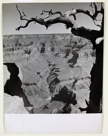 FRITZ HENLE "GRAND CANYON" 1947 PHOTOGRAPH