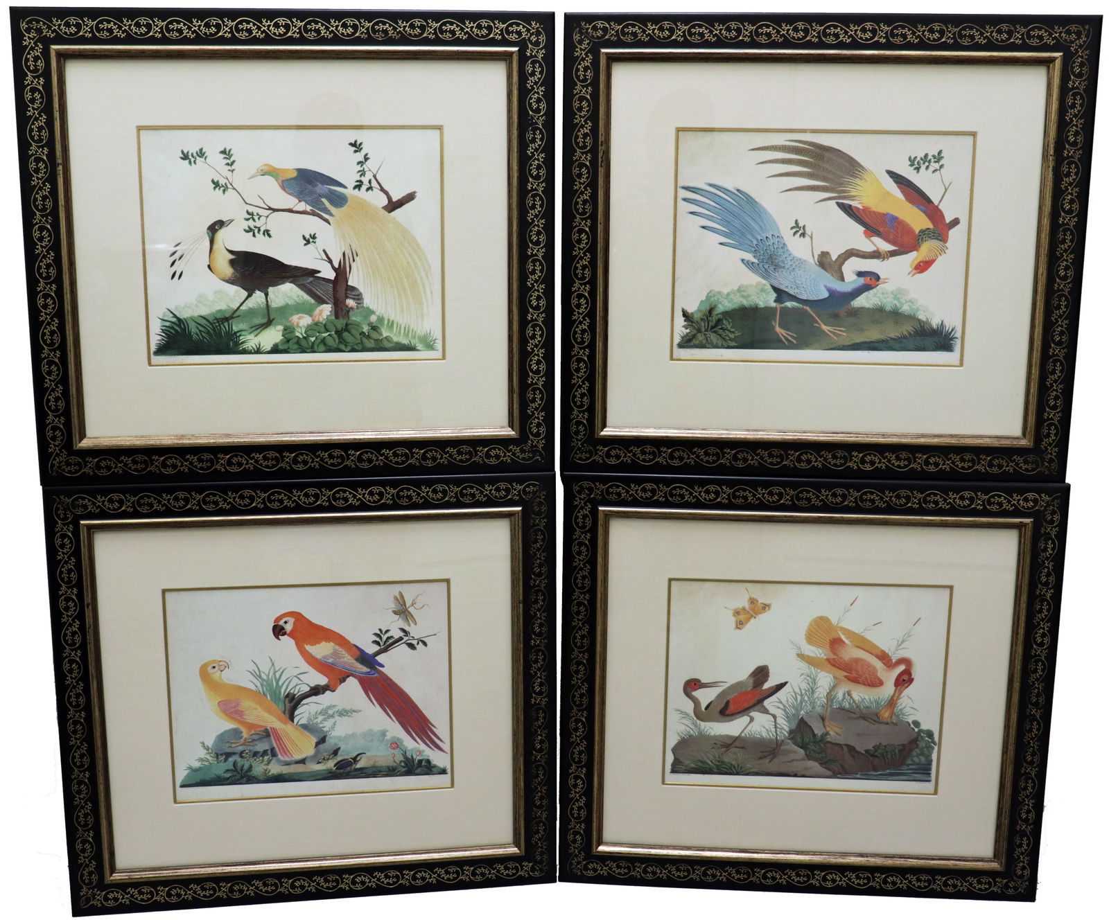 (4) CHINOISERIE FRAMED BIRD PRINTS (1 of 3)