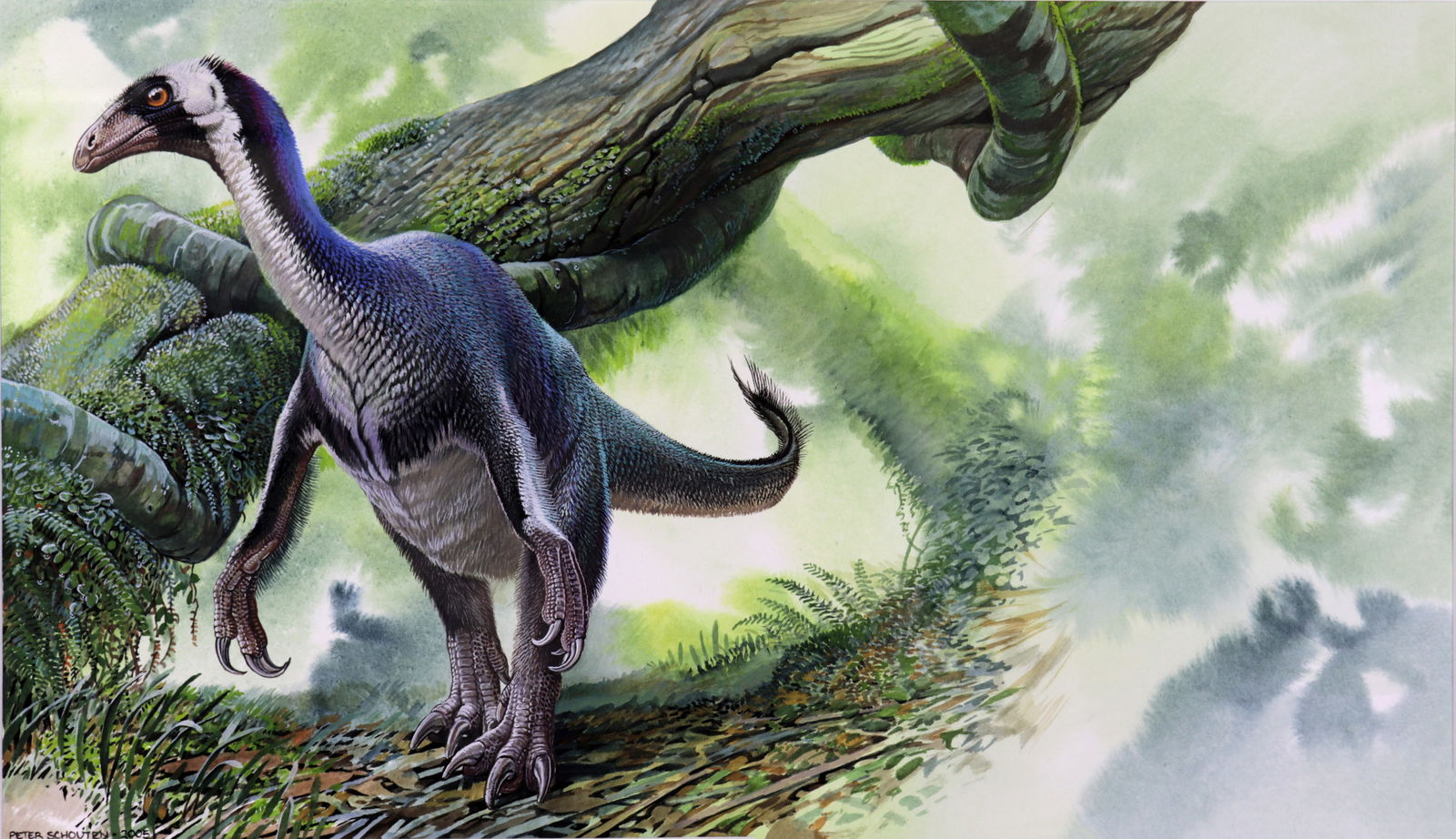 PETER SCHOUTEN BEIPIAOSAURUS PAINTING (1 of 6)