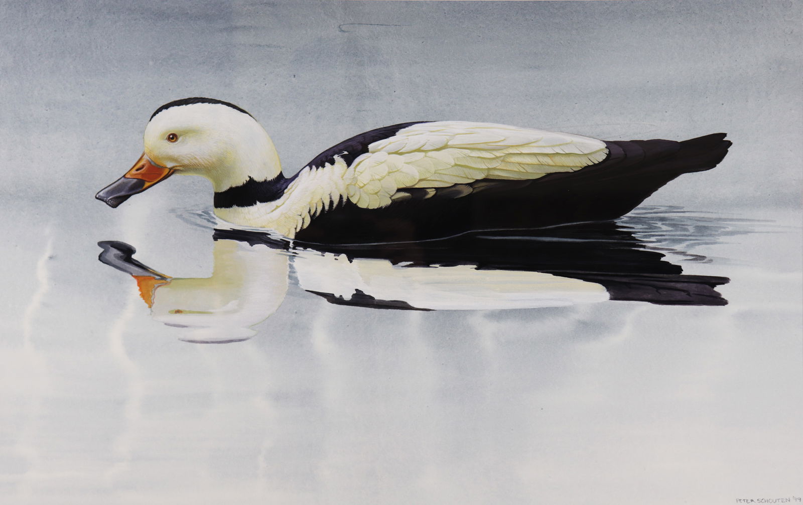 PETER SCHOUTEN LABRADOR DUCK PAINTING (1 of 5)