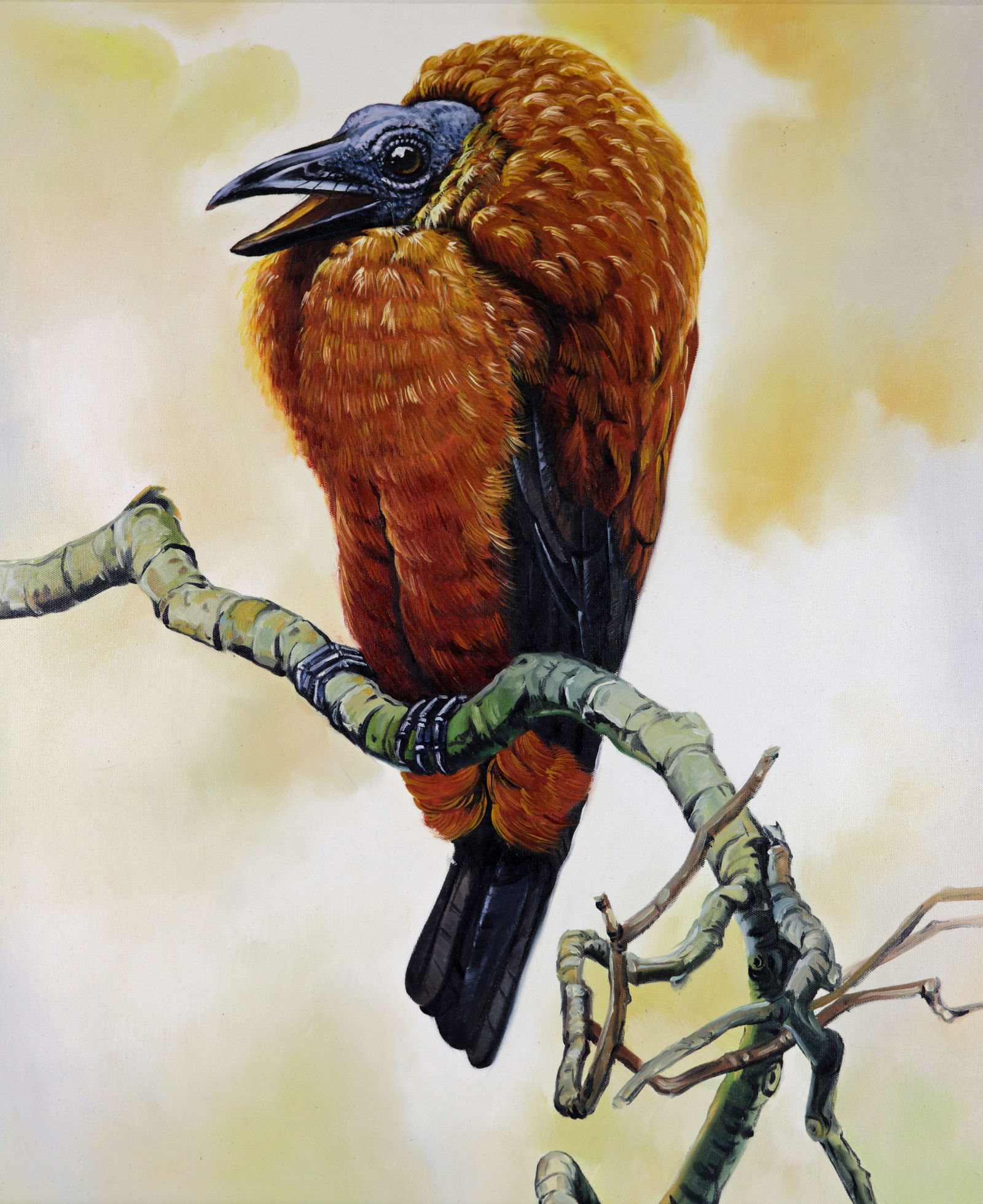 PETER SCHOUTEN CALFBIRD PAINTING (1 of 5)