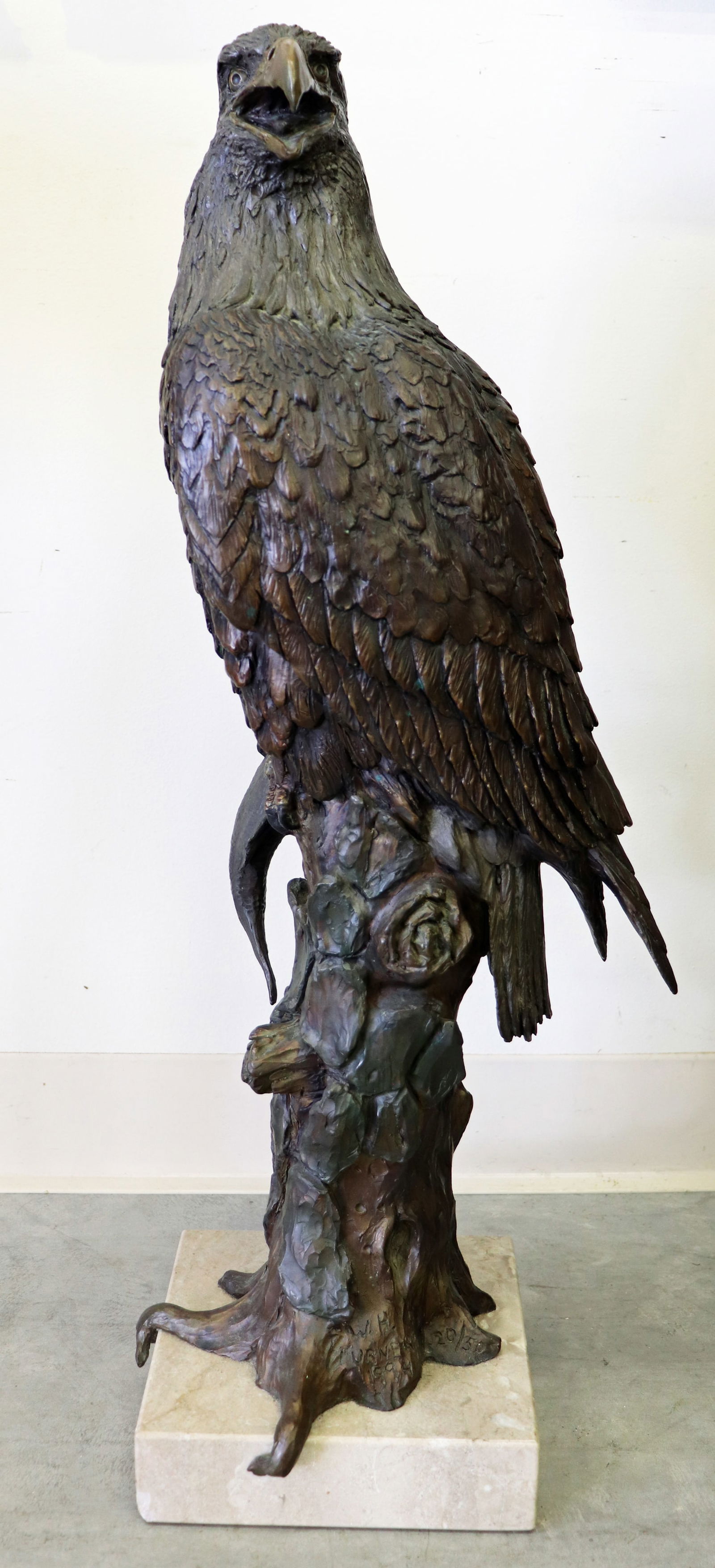 WILLIAM TURNER "EAGLE & FISH" BRONZE (1 of 7)