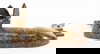 item-210746774=3