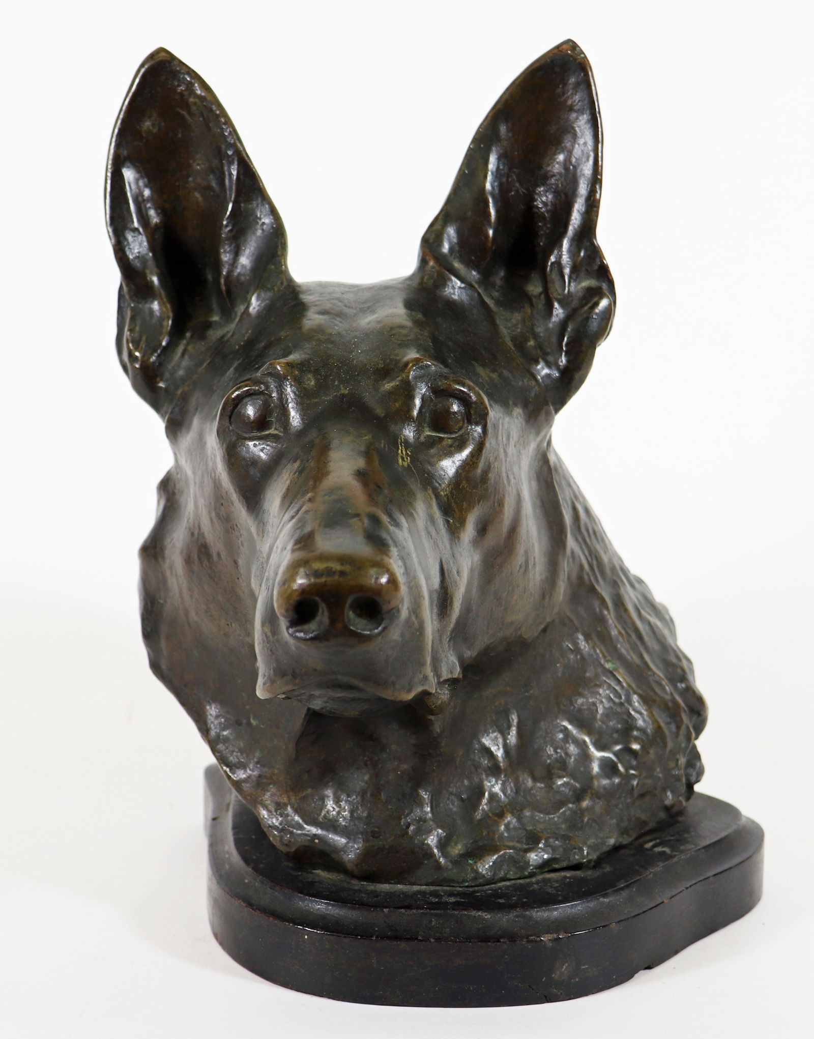 CHARLES VALTON BRONZE GERMAN SHEPARD BUST (1 of 4)