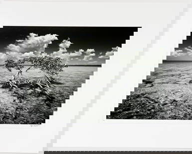 CLYDE BUTCHER "MONKEY KEY MANGROVE" PHOTOGRAPH: Clyde Butcher (b. 1942) Black & white photograph titled "Money Key Mangrove" Florida Keys. Signed and numbered 9/150. Crease/line to the lower left side along photo & matting. Print 18" x 24", matted