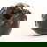 item-210746988=4