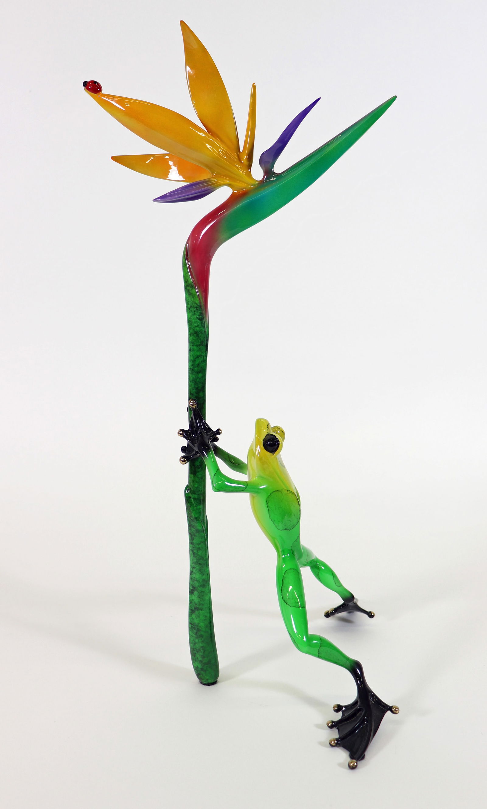 TIM FROGMAN COTTERILL FROG & BIRD OF PARADISE (1 of 5)