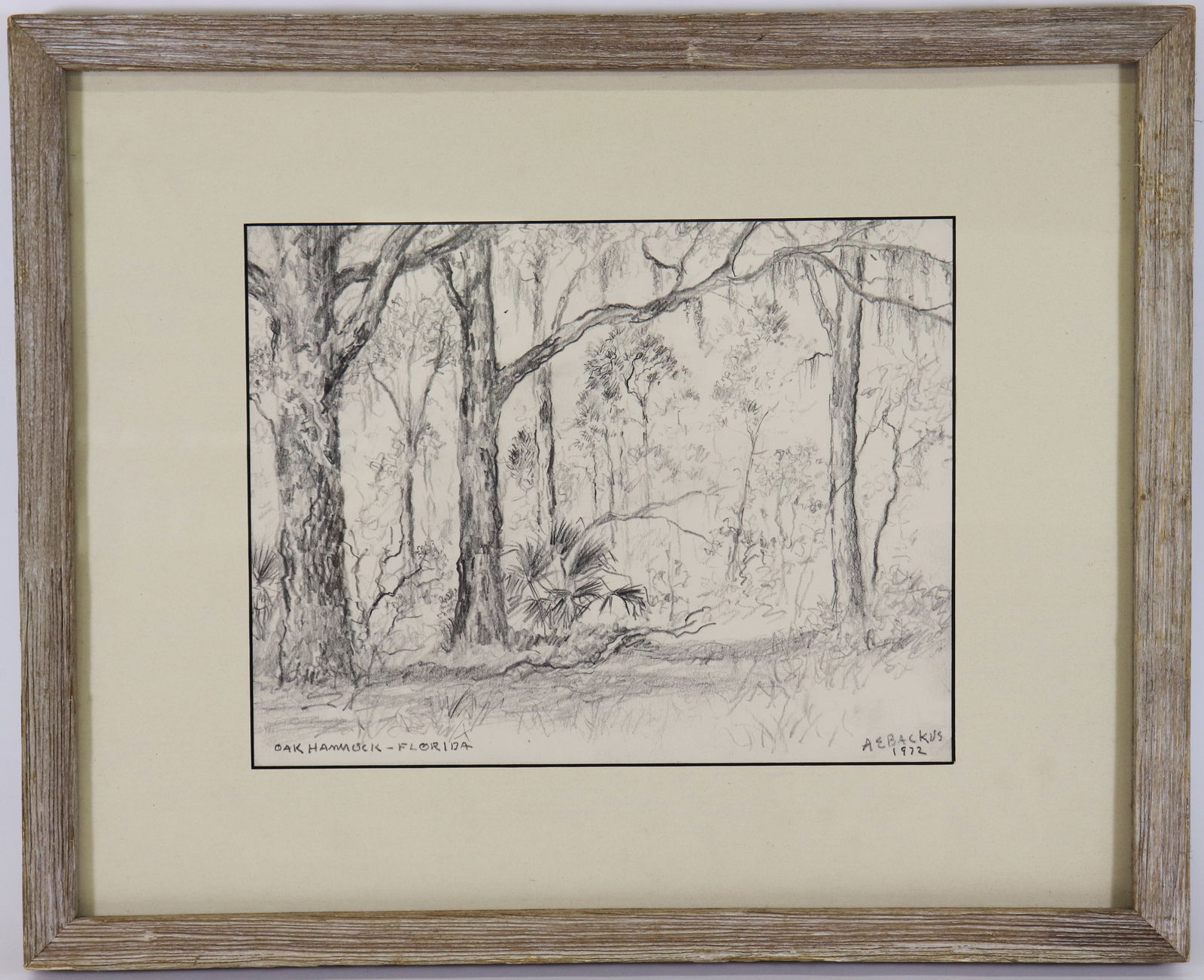 A.E. BACKUS FLORIDA PENCIL SKETCH LITHOGRAPH (1 of 2)