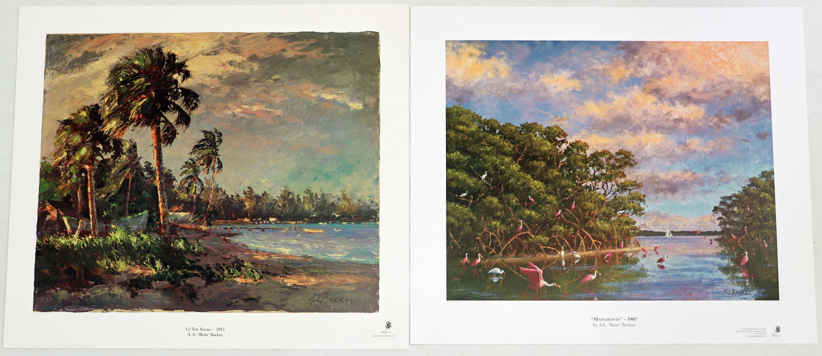 A.E. BACKUS LITHOGRAPHS UP THE SHORE & MANGROVES (1 of 3)