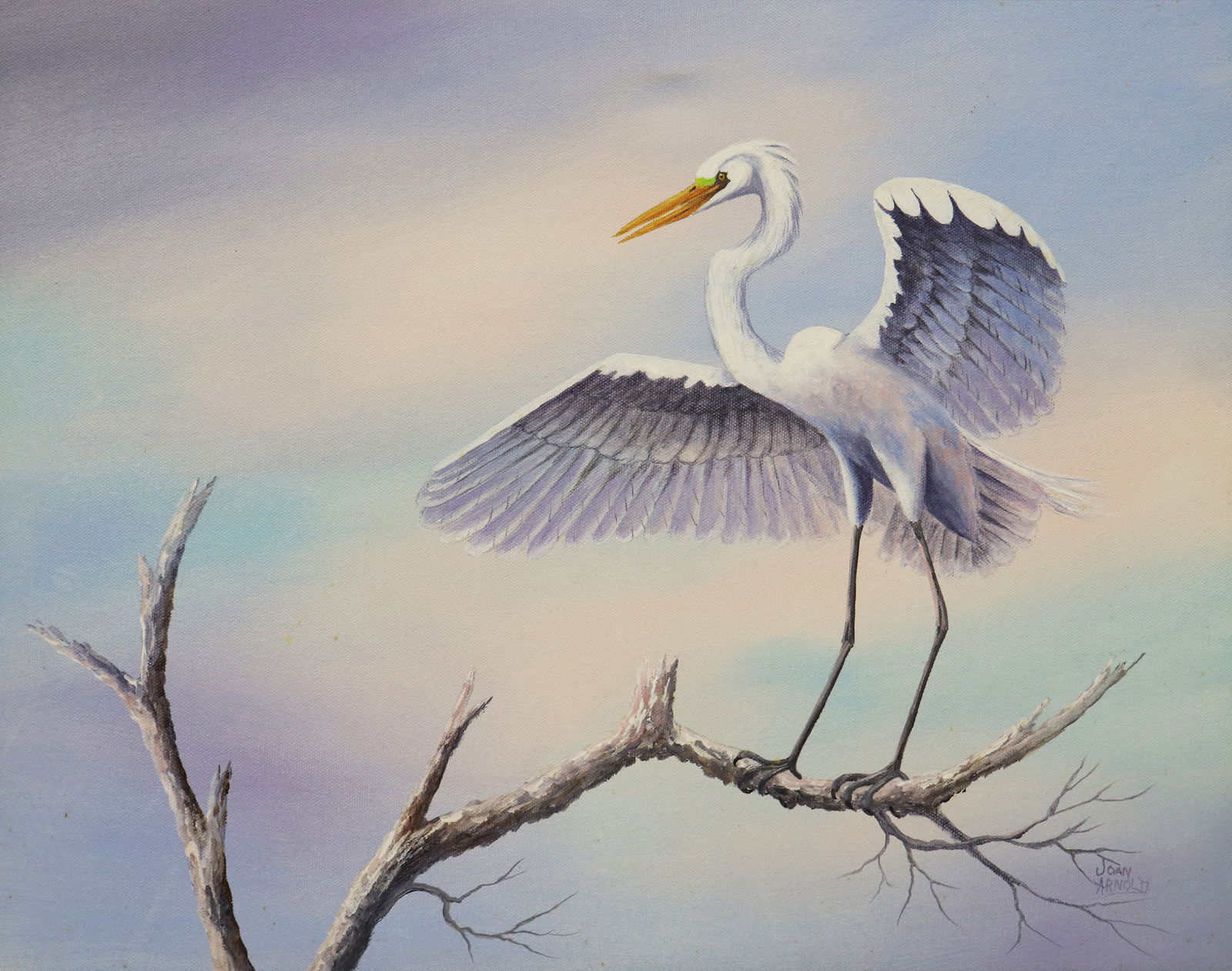 JOAN ARNOLD FLORIDA WHITE EGRET PAINTING: Joan Arnold painting of a Florida great white egret perched on a branch. Signed lower right. Measures 20" x 16" on canvas and 24" x 20" with frame. Joan Arnold was a student of Highwaymen artist Georg