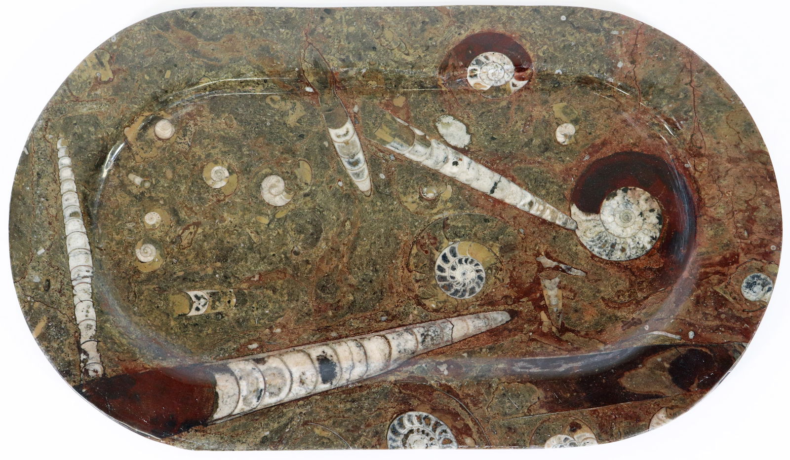 AMMONITE FOSSIL PLATTER: Oval fossilized ammonite platter tray. Measures 15" x 8.75" wide.