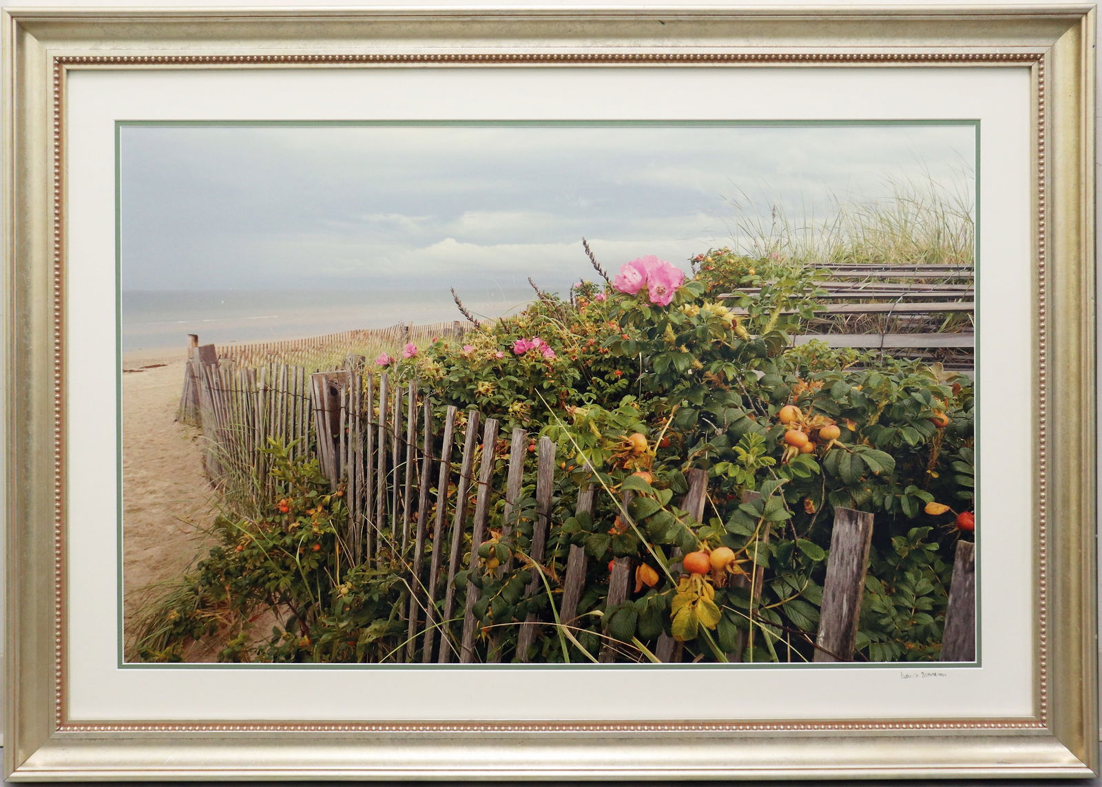 DAVID GROSSMAN SAND DUNES PHOTOGRAPH: Beach sand dunes photograph by David Grossman, framed under glass, depicts a sand dune scene with rustic fence, sea grasses and flowering plants. Image measures 23" x 34 3/4" framed measures 32" x 44