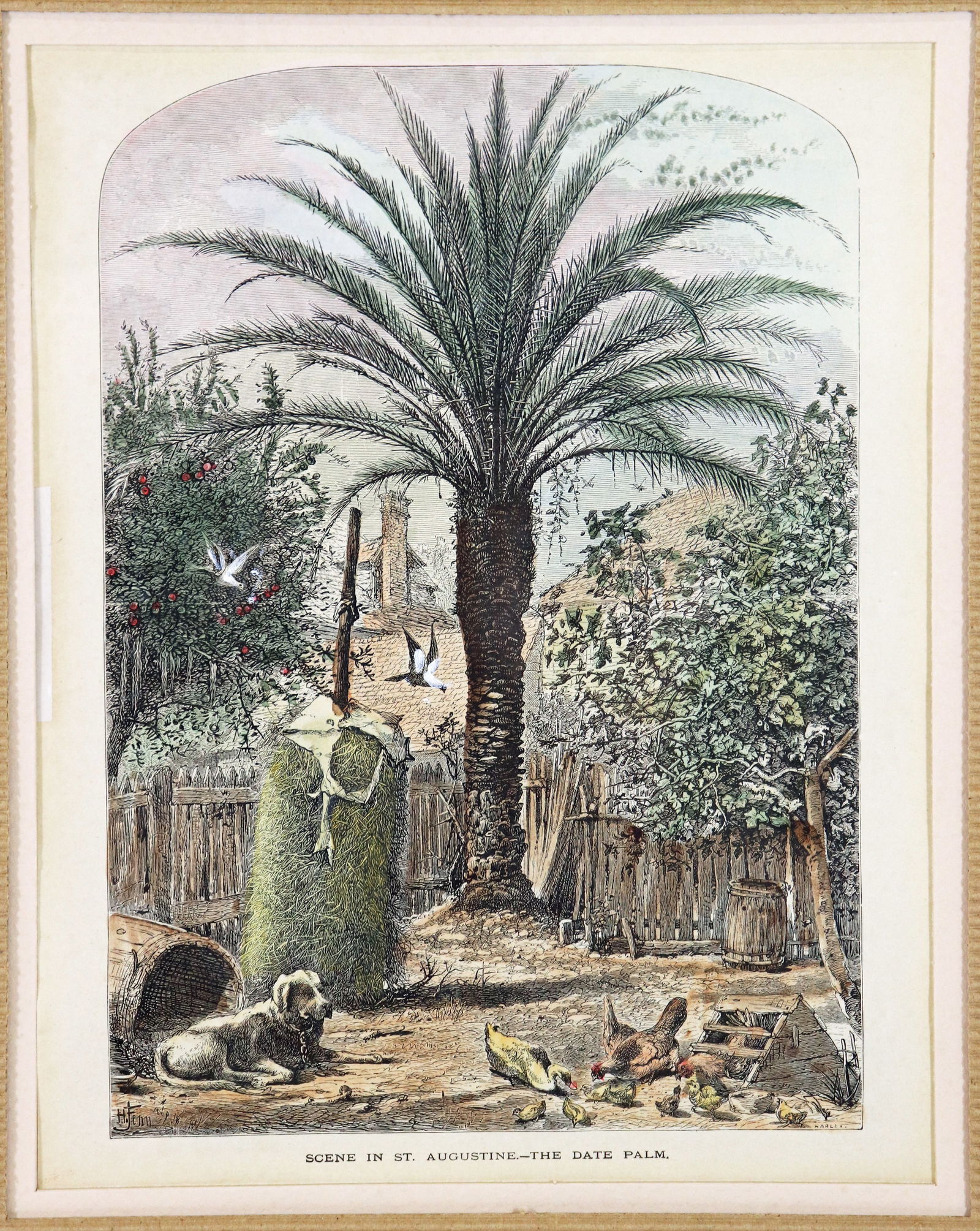 (2) ANTIQUE SAINT AUGUSTINE FLORIDA LITHOGRAPHS - 2