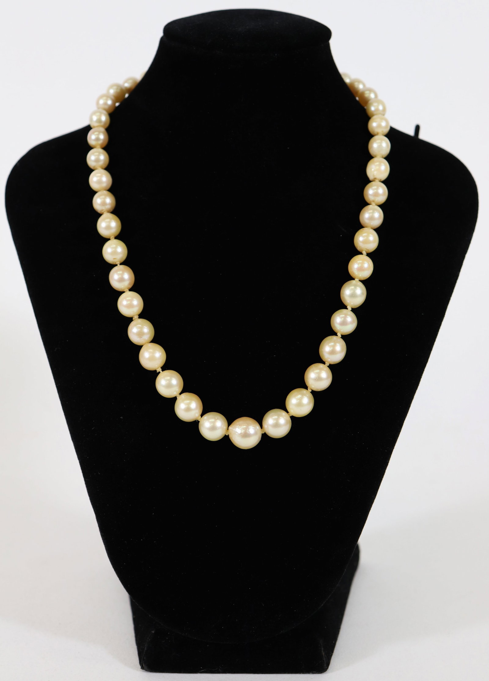 14K AKOYA PEARL NECKLACE: A pearl necklace, mostly likely Akoya pearls. They range in size from 6.5mm to 11mm with a 14K yellow gold clasp. The pearls have a beautiful golden white luster.