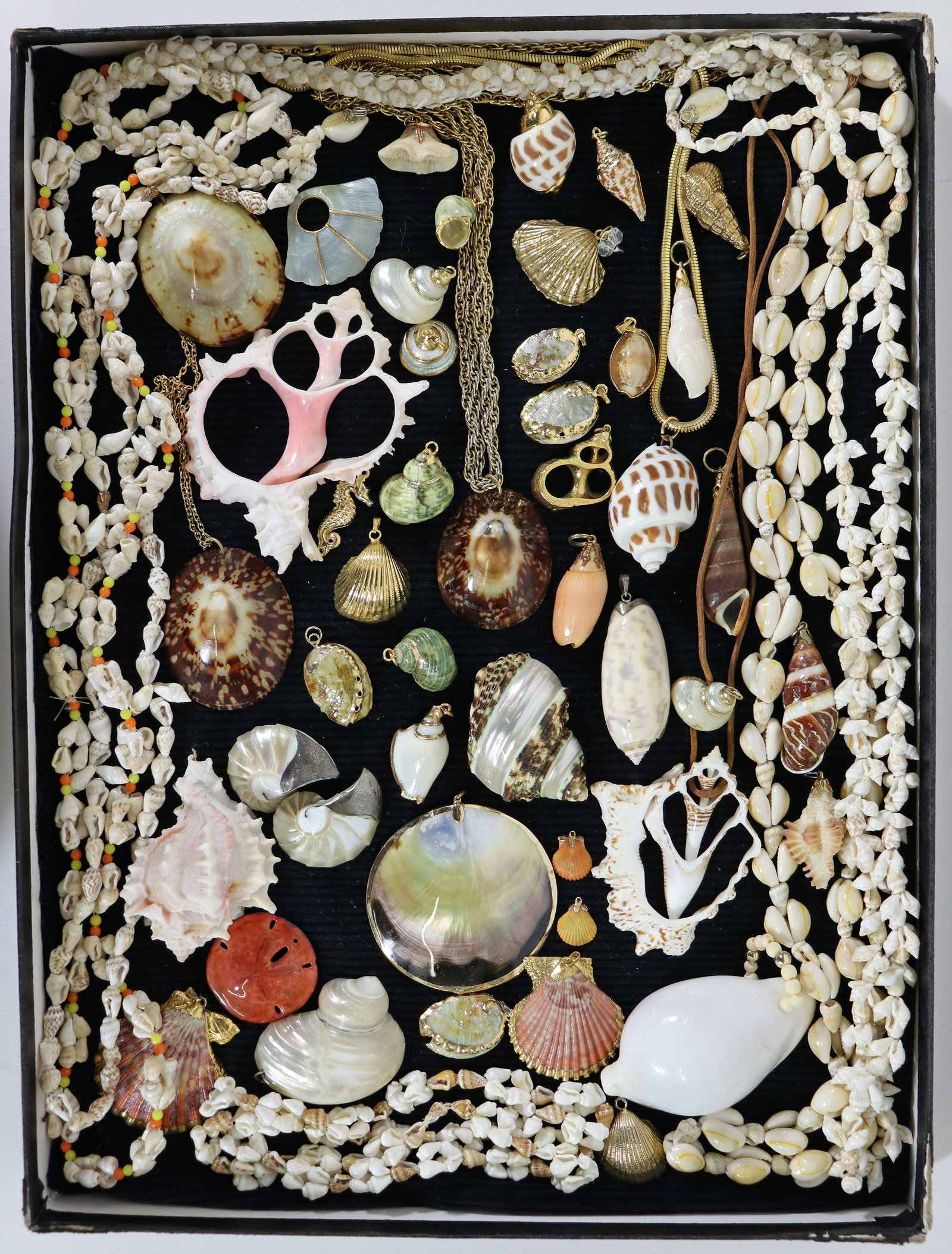 (45+) UNIQUE SHELL JEWELRY COLLECTION (1 of 4)