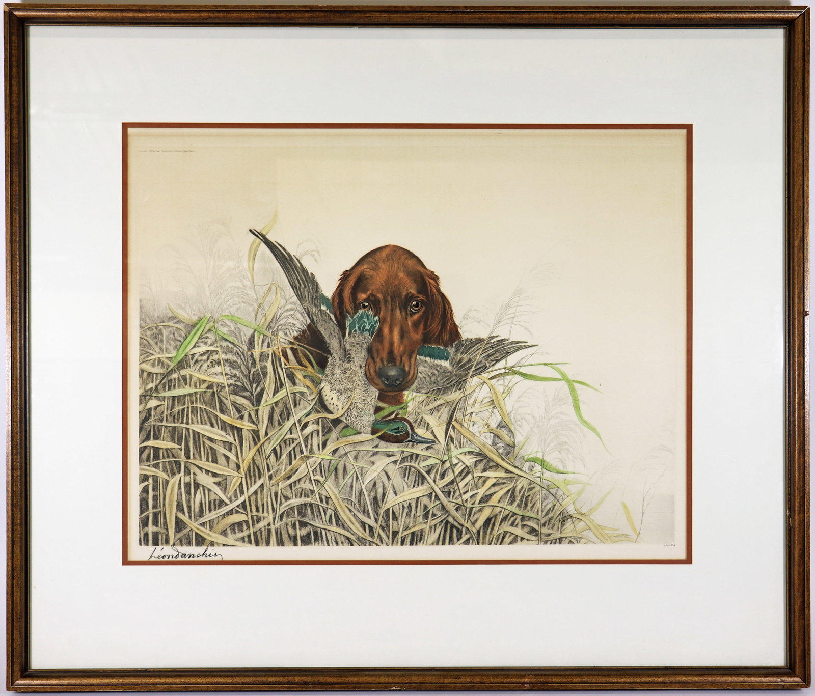 LEON DANCHIN BIRD DOG WITH DUCK ETCHING: Leon Danchin (French, 1887-1938) Color etching of a bird dog with a duck caught in his mouth. Signed in pencil lower left and numbered 124/500. Image measures 19" x 25", overall framed with glass meas