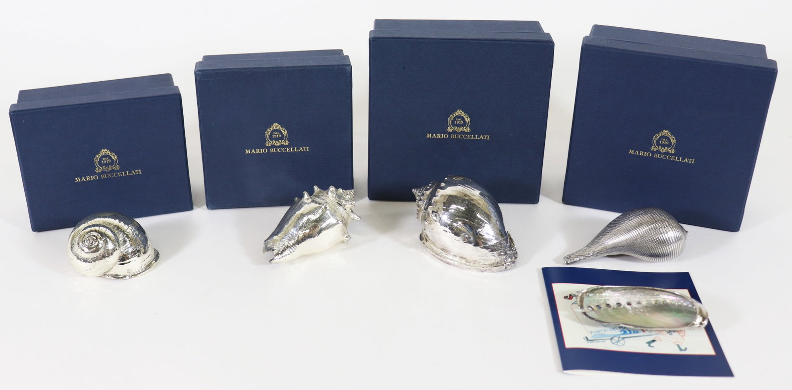 (5) MARIO BUCCELLATI SEA LIFE STERLING SHELLS (1 of 5)