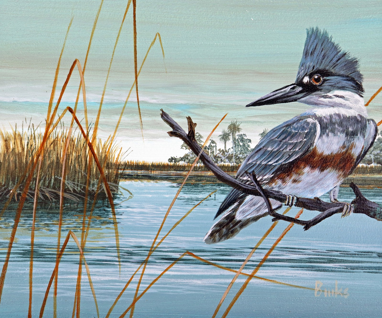 ROBERT BINKS FLORIDA KINGFISHER PAINTING (1 of 5)