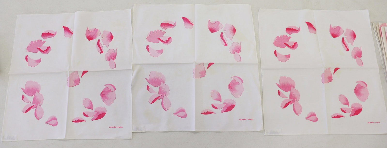 330+ PIECE HERMES LES PIVOINES PATTERN CHINA SET - 18