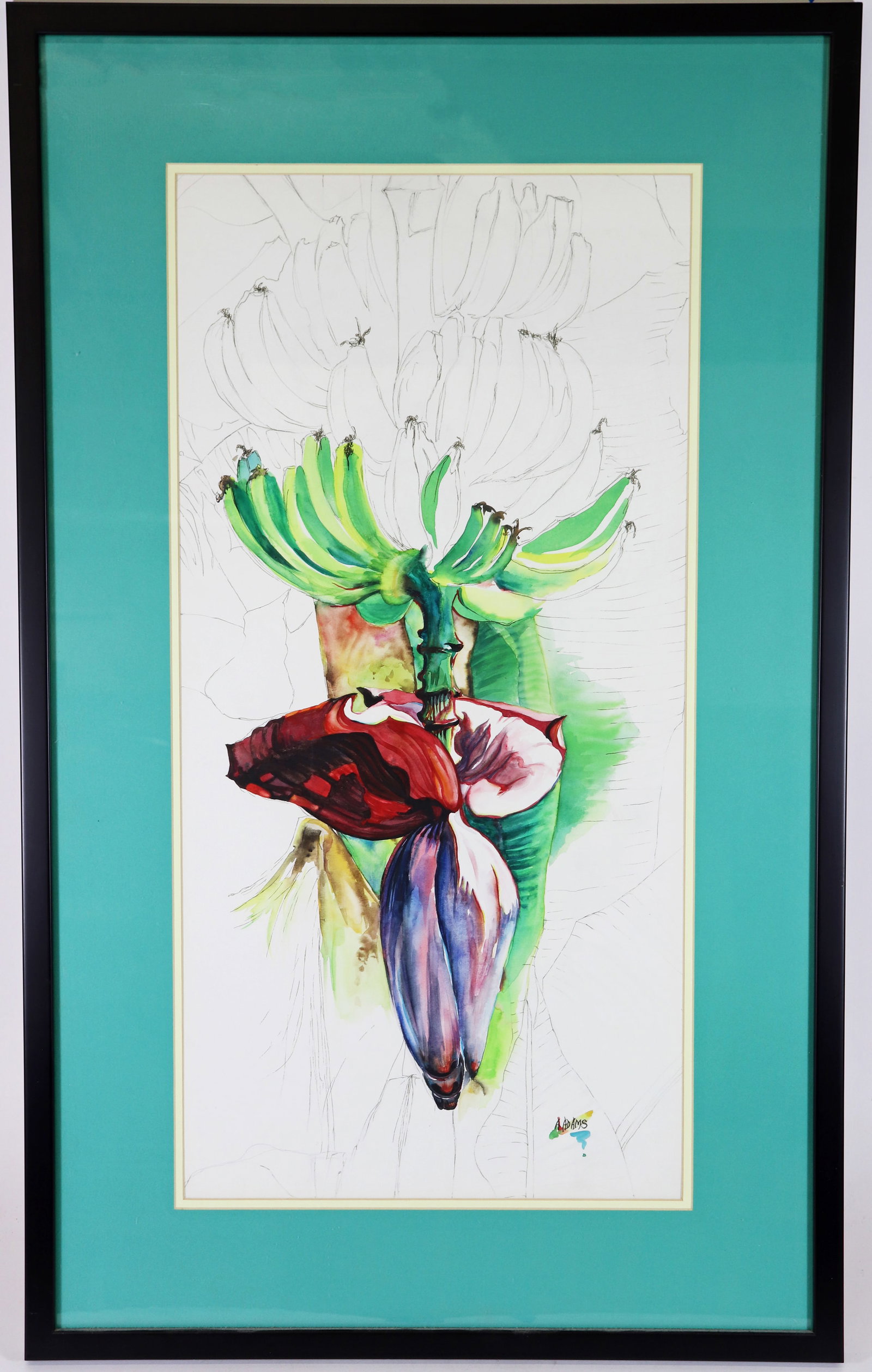 AMY ADAMS BANANA BLOSSOM FRUIT SKETCH WATERCOLOR: Amy Adams original watercolor / mixed media sketch painting of a banana tree. Signed A. Adams lower right. This original illustration painting was in the process of being completed and the current own